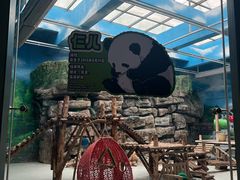-大青山野生动物园