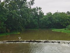 -桤木河湿地公园