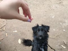 -杭州师范大学(下沙校区)