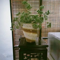 点击看大图 -香秀空间科技抗衰·美容中心