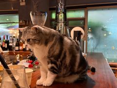 -咖法森林·咖啡  酒吧(天河店)