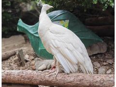 -大连老虎滩海洋公园