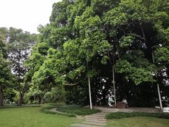 -南宁沃顿国际大酒店-自助餐厅