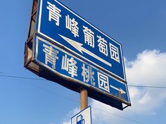 -树山生态村
