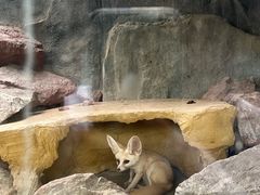 -广州长隆飞鸟乐园
