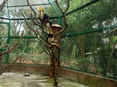 -海南热带野生动植物园