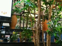 -厨彩阳光(河东路店)