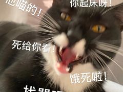 -超级神炭烤肉夜食(芥园西道店)