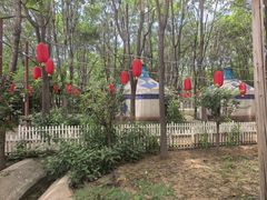 -草根堂农场