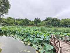 -美兰湖景区