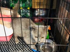 -陆记牛庄·碳锅龙虾烧烤(爱上花园店)