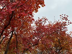 -周口店坡峰岭风景区