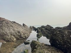 -棒棰岛宾馆景区
