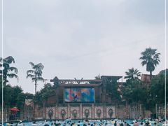 -重庆海昌加勒比海水世界