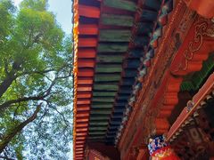 -塔尔寺游客服务中心