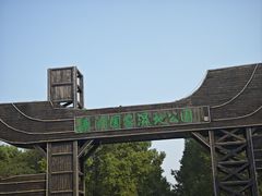 -溱湖国家湿地公园