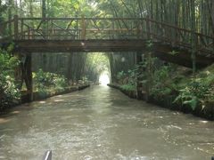 -同里国家湿地公园