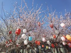 -三里河公园