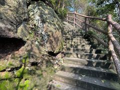-缙云山景区
