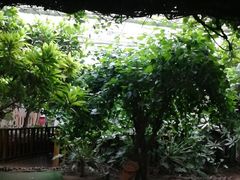 -呀路古热带植物园