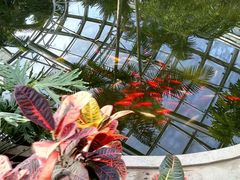 -北京植物园-展览温室