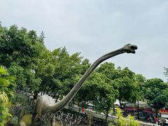 -自贡恐龙博物馆