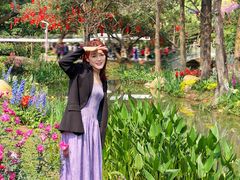 -人民公园(罗湖区)