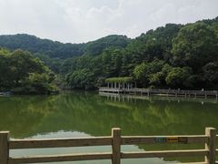 -广州市帽峰山景区