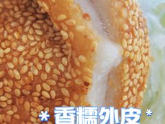 -白玉兰食品(中山公园龙之梦店)