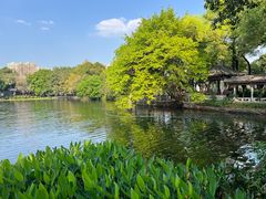 -荔湾湖公园