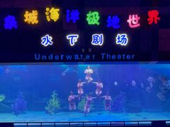-泉城欧乐堡海洋极地世界