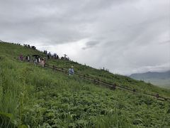 -新疆那拉提国家旅游度假区