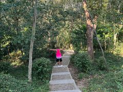 -上海佘山国家森林公园天马山园