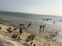 -北海金海湾红树林生态旅游区