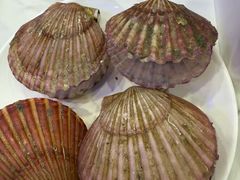 -碧中海汤泉汗蒸酒店