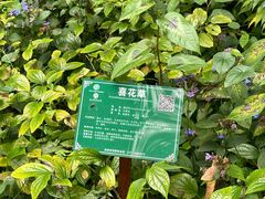 -广西壮族自治区药用植物园