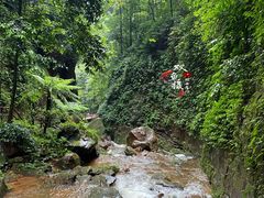 -赤水丹霞旅游区·佛光岩