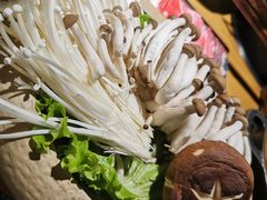 -呷哺呷哺 黄金牧场 (新中关购物中心店)