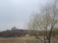 -莫子山公园