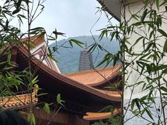 -深圳市中科院仙湖植物园