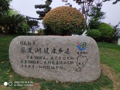 -桐乡凤凰湖