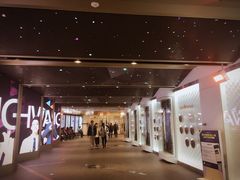 -乐天免税店(明洞店)
