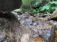 -秦岭风景区