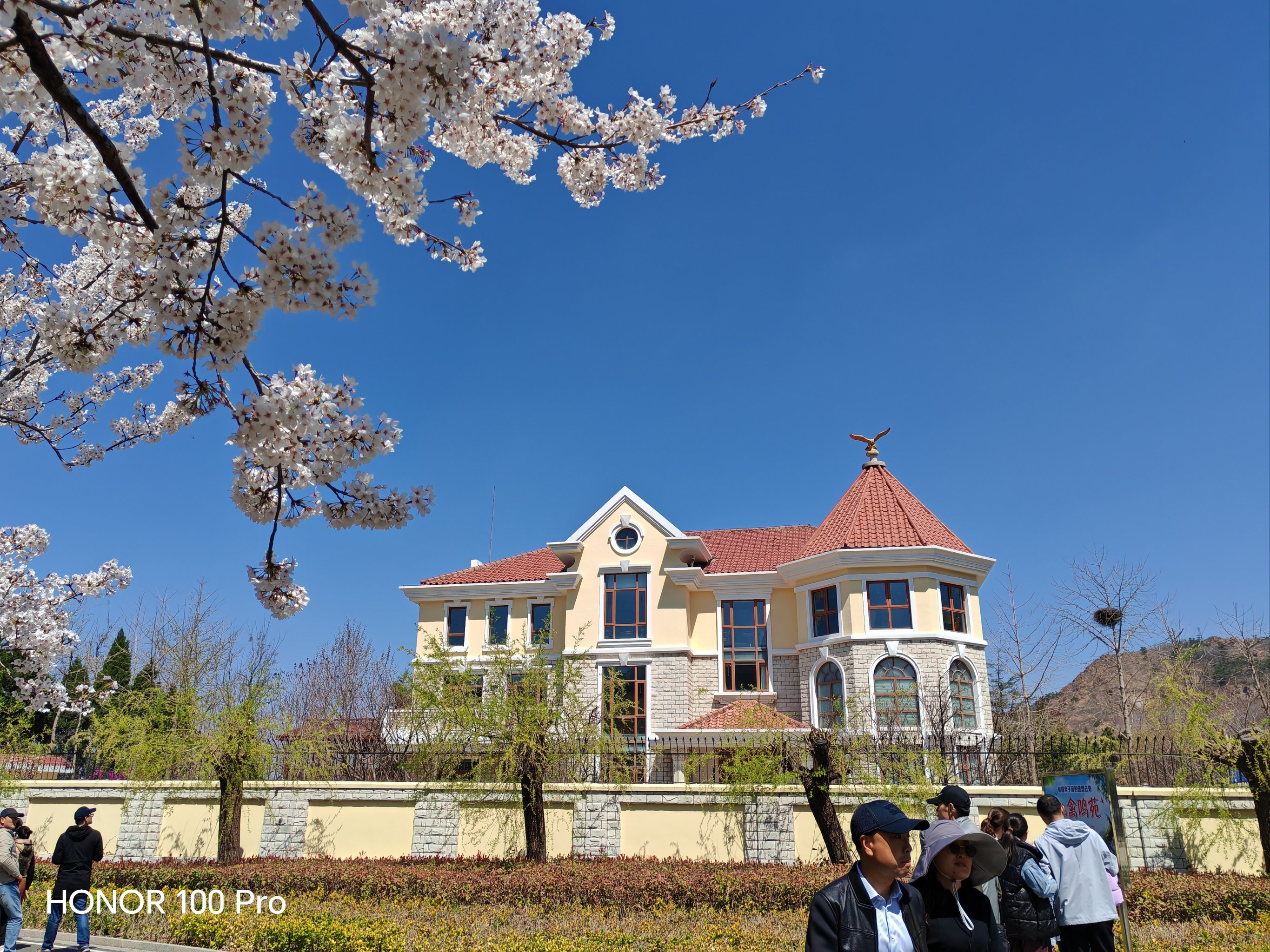 青岛十梅庵,山水木鸟的交汇之园