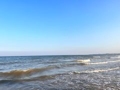 -日照海滨国家森林公园