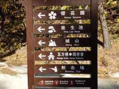 -金龙寺国家森林公园