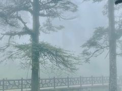 -瓦屋山景区