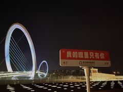 -南京眼步行桥