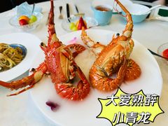 -蝶园·装修中(BFC外滩金融中心店)