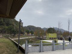 -千年银杏谷文化旅游区